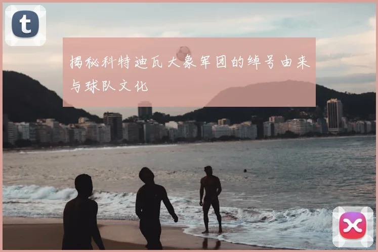 揭秘科特迪瓦大象军团的绰号由来与球队文化